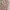 Y2K Maxi dress Wanita pink photo 2