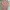 Y2K Maxi Dress Wanita Pink