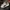 Puma Skater Casual Sneakers Pria white black photo 1