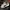 Puma Skater Casual Sneakers Pria White Black