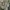 Vintage Casual Denim jacket Pria green khaki photo 1