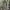 Vintage Casual Parka Pria green khaki photo 1