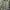 Vintage Casual Parka Pria green khaki photo 2
