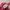Casual Sweatpants & Joggers Kids pink photo 3