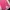 Casual Sweatpants & Joggers Kids pink photo 2