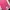Casual Sweatpants & Joggers Kids Pink