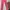 Casual Sweatpants & Joggers Kids pink photo 1