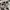 Samsung Vintage Streetwear Pria silver photo 1