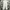 Uniqlo Casual Formal pants Pria cream photo 6