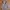 Gorpcore Casual Fur coat Wanita tan pink photo 2