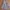 Gorpcore Casual Fur coat Wanita tan pink photo 4