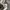 Dior Vintage Shoulder bag Wanita navy photo 1