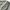 Final Home Avant Garde Minimalist Sweater Pria gray photo 3