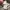 Final Home Avant Garde Minimalist Sweater Pria gray photo 4