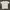 Nike Y2K T-shirt Pria White Black