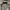 Polo Ralph Lauren Minimalist Formal shirt Pria cream photo 2
