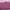 Coquette Muslim Jersey Wanita pink photo 1