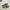VANS Casual Sneakers Wanita white black photo 5