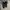 Skechers Casual Casual shoe Pria white black photo 1