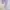 Streetwear Coquette Blazer Wanita purple white photo 4