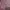 Minimalist Casual Cardigan Wanita pink photo 4