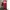 Streetwear Y2K Sweatpants & Joggers Pria Red
