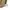 Uniqlo Vintage Casual Sweater Pria tan photo 4
