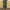 Vintage Y2K Jeans Pria Multicolor Green