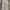 Dickies Vintage Streetwear Casual pants Pria white photo 1