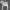 Coquette Casual Crop top Wanita white photo 1