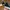 Converse Skater Sportswear Sneakers Pria black photo 1