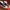 Converse Skater Sportswear Sneakers Pria black photo 2