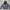 The North Face Streetwear Luxury Puffer Jacket Pria White Black