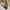 Pull & Bear Streetwear Casual Sneakers Pria white photo 4