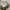 Pull & Bear Streetwear Casual Sneakers Pria White