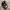 Converse Streetwear Casual Sneakers Pria white black photo 1