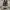 Converse Streetwear Casual Sneakers Pria white black photo 2