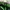Streetwear Hat Kids green photo 4