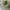 Streetwear Hat Kids green photo 2