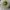 Streetwear Hat Kids Green