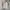 Vintage Casual Harrington jacket Pria tan photo 1