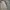 Vintage Casual Harrington jacket Pria tan photo 4