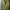 Descente Sportswear Track jacket Pria green photo 1