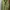 Descente Sportswear Track Jacket Pria Green