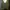 Descente Sportswear Track jacket Pria green photo 4