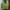 Descente Sportswear Track jacket Pria green photo 2