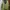 Descente Sportswear Track Jacket Pria Green