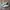 Adidas Indie Casual Sneakers Wanita white green photo 1