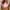 Carhartt Streetwear Hat Kids white brown photo 3