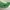 Made in USA Streetwear Sportswear Hat Kids white green photo 3